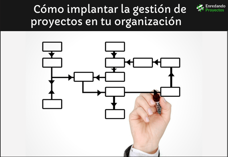 Cómo implantar la gestión de proyectos en tu organización