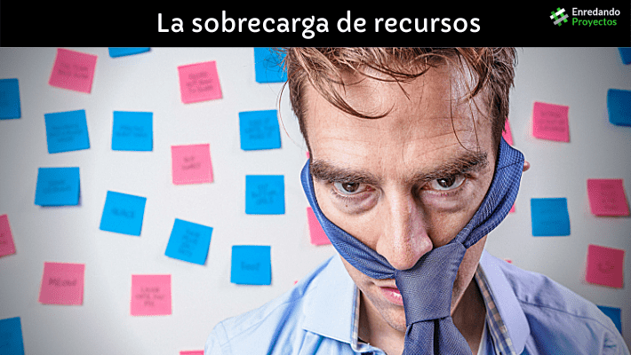 Como organizar con eficacia los recuros del proyecto